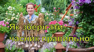 Часник зберігання. Самий ефективний та простий спосіб