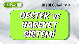 Destek ve Hareket Sistemi | Tek Videoda Anlatım | 11. Sınıf Biyoloji  #2023