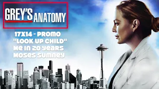 Grey's Anatomy Soundtrack - (17x14) - "Me in 20 Years" by Moses Sumney / Promo
