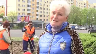 2019-05-02 г. Брест. Благоустройство города: высадка цветов. Новости на Буг-ТВ. #бугтв