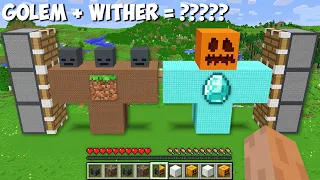 I can COMBINE BIGGEST DIAMOND GOLEM and DIRT WITHER OF 1000 BLOCKS in Minecraft ! DIAMOND vs DIRT !