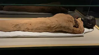 Tour of the National Museum of Egyptian Civilization | famous mummies room | Trip to Cairo 2021
