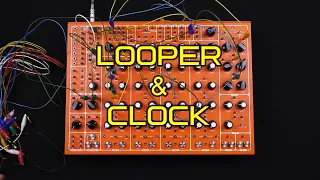 PULSAR-23 in-depth explanation LOOPER & CLOCK