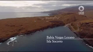 Islas de México - Isla Socorro (24/07/2017)