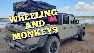 Jeep Badge of Honor in Silver Springs FL | Jeep Gladiator