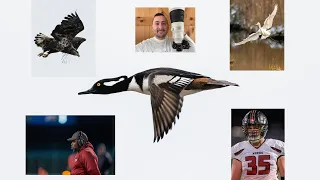 Sony 400mm 2.8 Real World Review! Night Football and Wildlife! Is The Hype Real? Well...