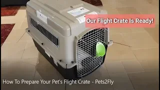 How To Prepare Your Pet's Flight Crate - Pets2Fly - Pet Travel