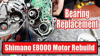 Shimano E8000 Motor overhaul and bearing replacement.