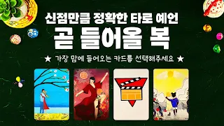 타로] 곧 들어올 복에 대해서 신점같이 잘 맞는 소름돋는 예언을 들어볼게요