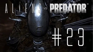 Aliens vs Predator 3 [Alien] #23 - Im Sumpf - Let`s Play