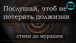 Сильный стих "Полжизни мы теряем из за спешки..." Юлия Друнина Читает Happy W СТИХИ о ЖИЗНИ