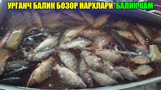 ХОРАЗМ УРГАНЧ БАЛИК НАРХЛАРИ / URGANCH BALIQ BOZORI #baliq