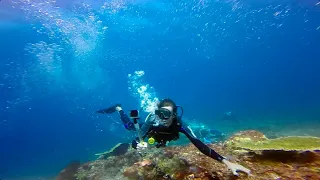 Manta in the Shot Gun diving the Cauldron in North Komodo