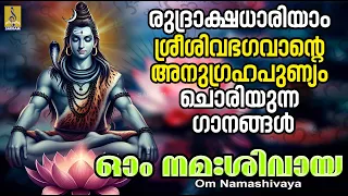 ഓം നമഃശിവായ | Om Namashivaya | Shiva Devotional Songs | Hindu Devotional Songs #shiva