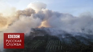 Чернобыль: зона отчуждения в дыму - BBC Russian