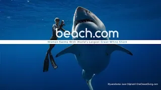 WOMAN SWIMS WITH WORLD'S LARGEST GREAT WHITE SHARK!