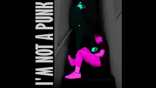 I'm not a PUNK - Joey Valence & Brae (ft. TV Girl) [Mashup]