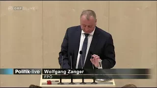 Wolfgang Zanger - RH-Tätigkeitsbericht 2017 - 21.3.2018