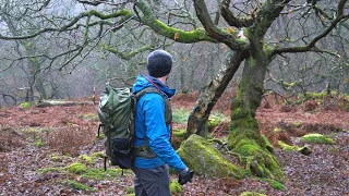 How I Scout - Ancient Woodland Photography