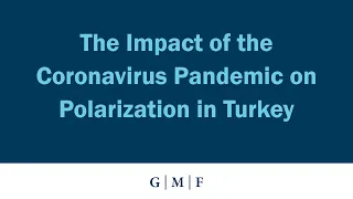 The Impact of the Coronavirus Pandemic on Polarization in Turkey