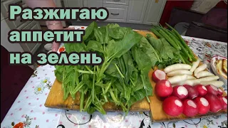 Первая зелень на нашем столе