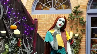 HskyArt Sally gives me Kisses | Jack & Sally meet and greet | nightmare before christmas Disneyland