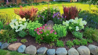 End of July Garden Tour ~ So Colorful!! 🌺🌸🌹 // Suburban Oasis