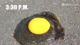 Phoenix heat wave: Can an egg actually cook on asphalt in 118 degrees?