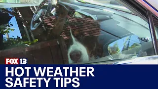 Water and pet safety reminders as we see temps in the 80s | FOX 13 Seattle