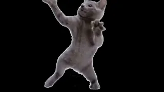 Meow! 2023 remix (dark background)