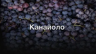 Канайоло