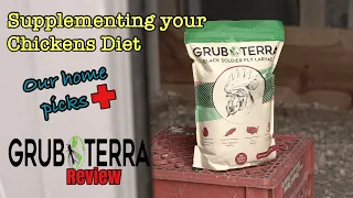 Supplementing Your Chickens Diet: Our GO TO choices PLUS Grubterra Black Soldier Fly Larvae Review