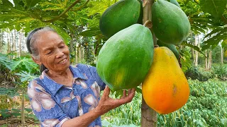 木瓜別再直接生吃了，教你3種家常口味，一口下去嘎嘣脆｜Grandma makes traditional Chinese food with papaya｜玉林阿婆