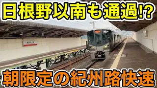 【日根野以南も通過駅⁉︎】朝限定の紀州路快速に乗ってみた