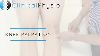 Knee Joint Palpation | Clinical Physio