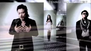 【PV】CLIFF EDGE ／ Endless Tears feat. 中村舞子