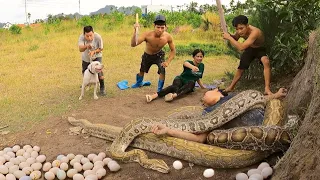 Terrified - sleeping a man was attacked by a giant snake weighing 300kg