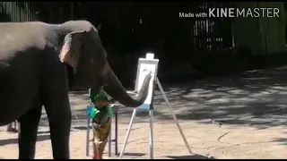 ELEPHANT PAINTING  #THAILAND #PAINTING #SAFARI WORLD #THAILAND VLOG #THAILAND TRIP