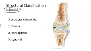 Classification of joints