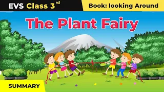 Class 3 EVS NCERT Chapter 2 | The Plant Fairy - Summary