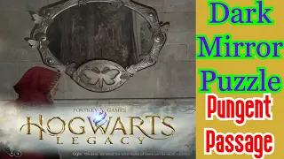 Hogwarts Legacy | Dark Mirror Pungent Passage!