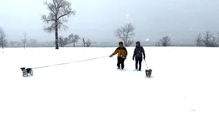 Major snowstorm pummels parts of Colorado