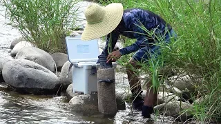 Eel catch trap