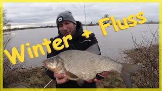 Angeln im Winter am Fluss erfolgreich auf große Friedfische