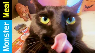 Eating cat food with black cat [fictional video] | Monster Meal ASMR sounds | Kluna Tik style