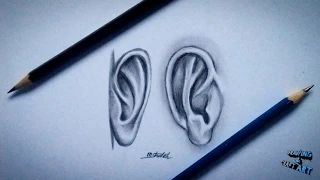 How to draw ear easy step by step | Ear drawing for beginners tutorial