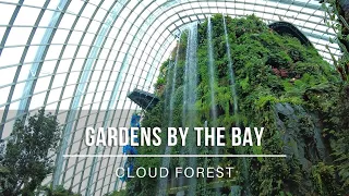 【4K】Singapore | Gardens by the bay | Cloud Forest | October 2021