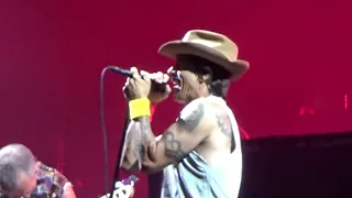 Red Hot Chili Peppers - Intro Jam + Can't Stop (Rock In Rio 2019)