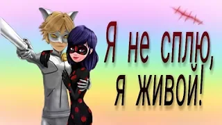 Клип: Леди Баг и Супер-Кот|Я не сплю, я живой!