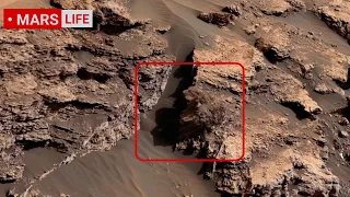 NASA Mars rover Sends Super Incredible Footage of Mars! Perseverance and Curiosity' Mars in 4K